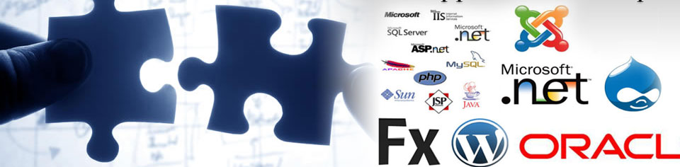 Web Application Development